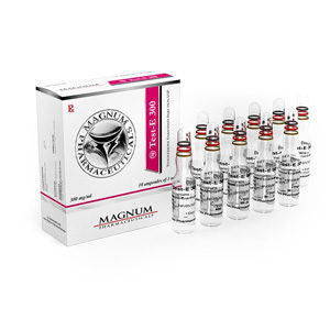 Magnum Test-E 300 - buy Testosteron enanthate in the online store | Price