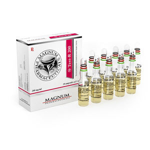 Magnum Test-R 200 - buy Sustanon 250 (Testosteronblanding) in the online store | Price
