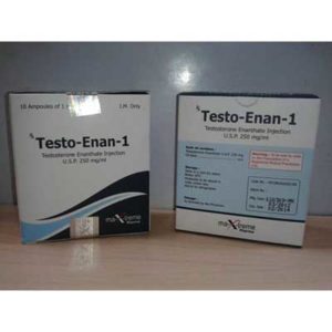 Testo-Enan amp - buy Testosteron enanthate in the online store | Price