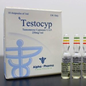 Testocyp - buy Testosteron cypionate in the online store | Price