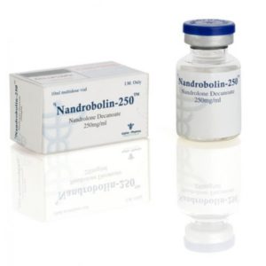 Nandrobolin (vial) - buy Nandrolon dekanoat (Deca) in the online store | Price