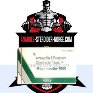 Kjøp Megamentin-1000 steroider-norge.com